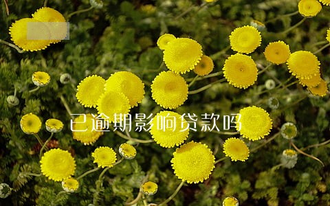 已逾期影响贷款吗 已逾期影响贷款吗