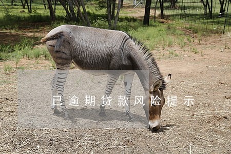 已逾期贷款风险提示 已逾期贷款风险提示
