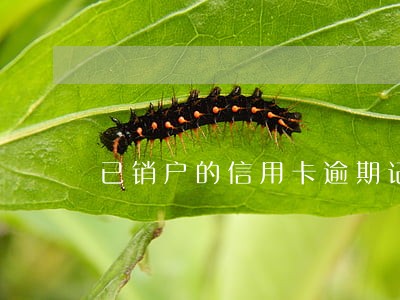 已销户的信用卡逾期记录 已销户的信用卡逾期记录