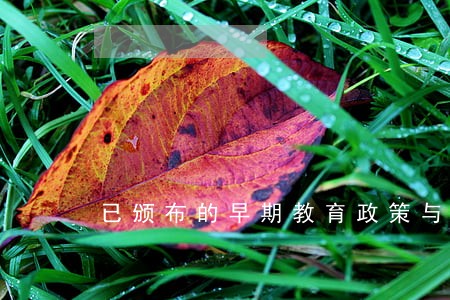 已颁布的早期教育政策与法规 已颁布的早期教育政策与法规