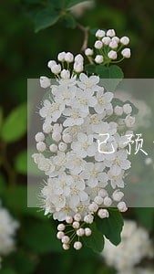 已预售期房法院可查封吗 已预售期房法院可查封吗