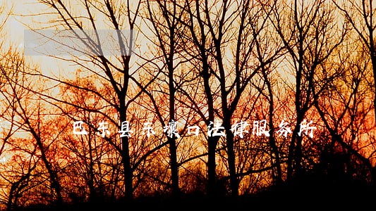 巴东县东壤口法律服务所 巴东县东壤口法律服务所