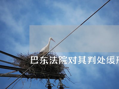 巴东法院对其判处缓刑 巴东法院对其判处缓刑