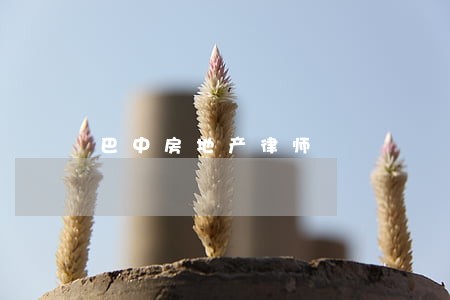 巴中房地产律师