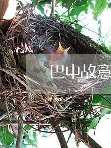 巴中故意伤害罪律师免费咨询 巴中故意伤害罪律师免费咨询