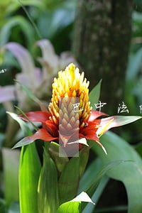 巴中法院张寒 巴中法院张寒