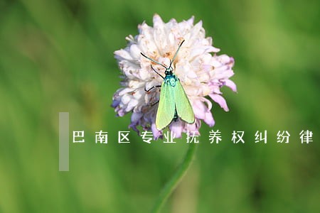 巴南区专业抚养权纠纷律师 巴南区专业抚养权纠纷律师