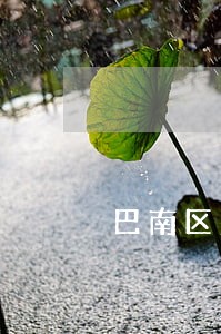 巴南区法律咨询联系方式
