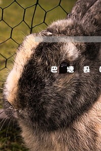 巴塘县国家赔偿律师在线免费咨询 巴塘县国家赔偿律师在线免费咨询