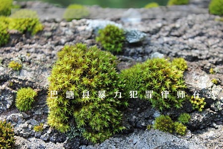巴塘县暴力犯罪律师在线免费咨询 巴塘县暴力犯罪律师在线免费咨询