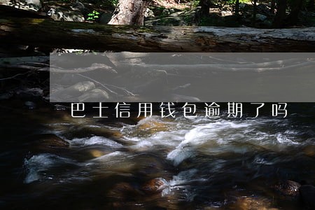 巴士信用钱包逾期了吗 巴士信用钱包逾期了吗