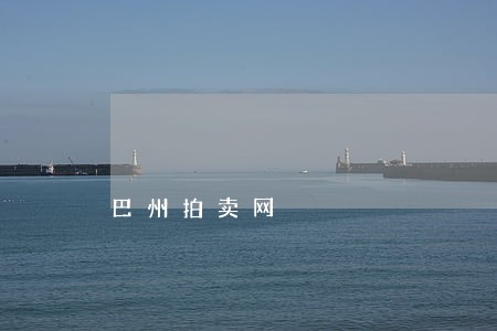 巴州拍卖网 巴州拍卖网