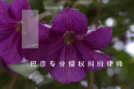 巴彦专业侵权纠纷律师 巴彦专业侵权纠纷律师