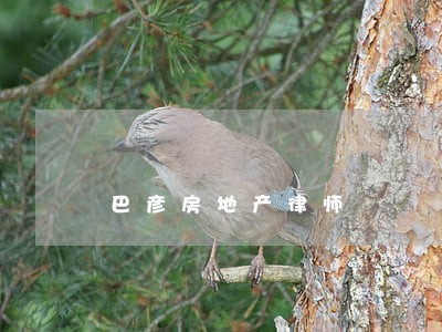巴彦房地产律师 巴彦房地产律师
