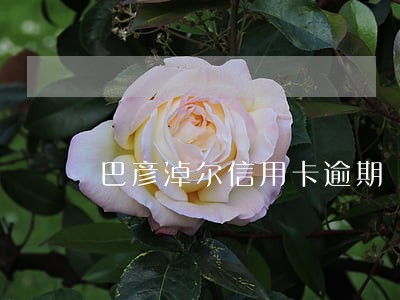 巴彦淖尔信用卡逾期
