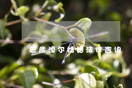 巴彦淖尔婚姻法律咨询 巴彦淖尔婚姻法律咨询