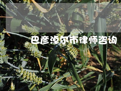 巴彦淖尔市律师咨询 巴彦淖尔市律师咨询