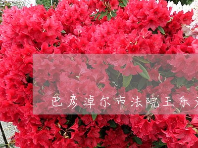 巴彦淖尔市法院王乐义 巴彦淖尔市法院王乐义