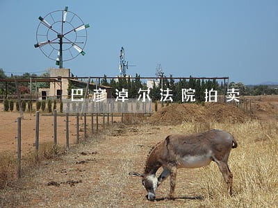 巴彦淖尔法院拍卖 巴彦淖尔法院拍卖