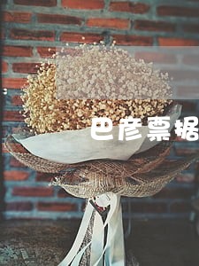 巴彦票据纠纷律师咨询电话