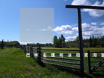 巴林左旗司法拍卖淘宝网报价 巴林左旗司法拍卖淘宝网报价