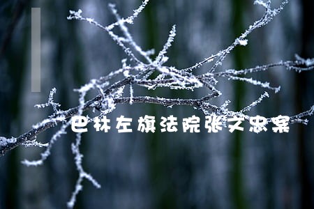 巴林左旗法院张文忠案 巴林左旗法院张文忠案