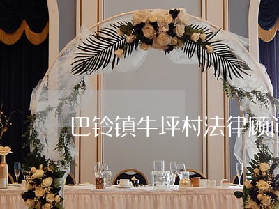 巴铃镇牛坪村法律顾问 巴铃镇牛坪村法律顾问