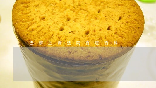 巴黎上诉法院百度百科