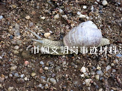 巾帼文明岗事迹材料法规