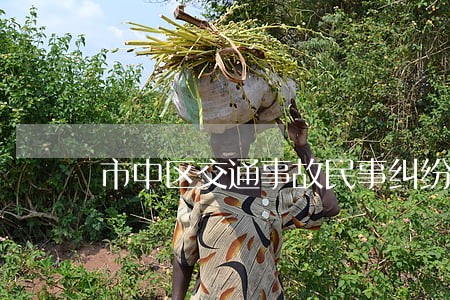 市中区交通事故民事纠纷律师顾问