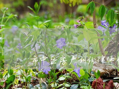 市中区房产纠纷律师费用 市中区房产纠纷律师费用