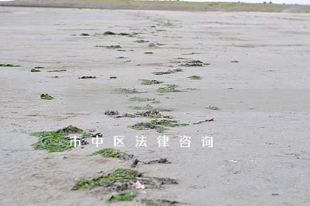 市中区法律咨询 市中区法律咨询