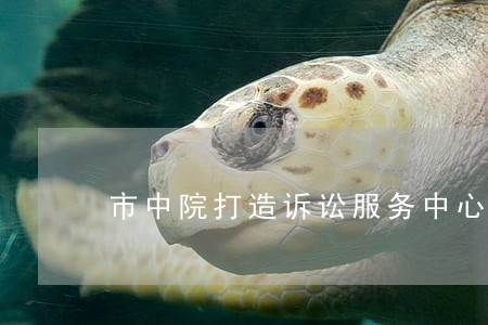 市中院打造诉讼服务中心升级版 市中院打造诉讼服务中心升级版
