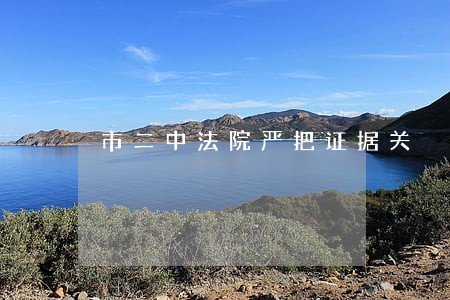 市二中法院严把证据关 市二中法院严把证据关