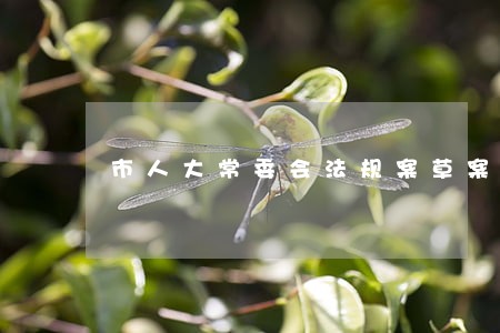 市人大常委会法规案草案说明 市人大常委会法规案草案说明