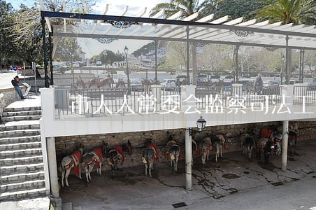 市人大常委会监察司法工委