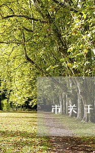 市关于优化法治环境