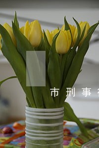 市刑事律师哪家比较靠谱 市刑事律师哪家比较靠谱