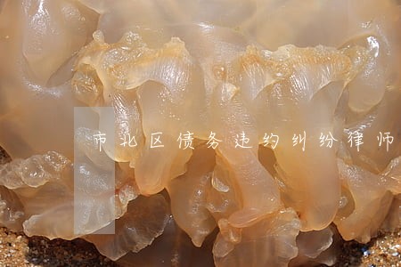 市北区债务违约纠纷律师 市北区债务违约纠纷律师
