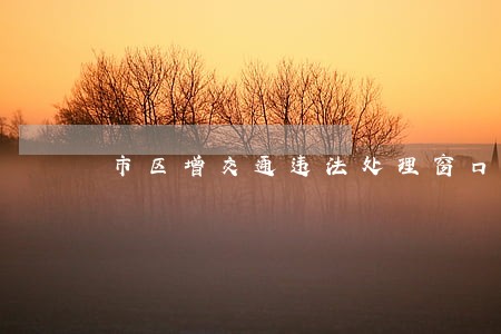 市区增交通违法处理窗口