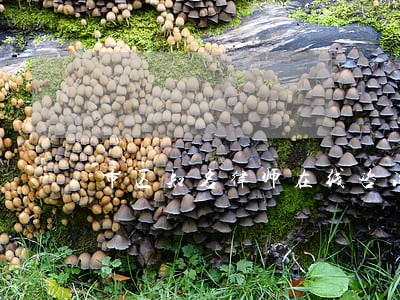 市区知名律师在线咨询 市区知名律师在线咨询