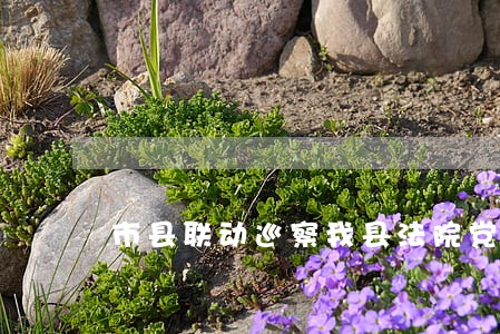 市县联动巡察我县法院党组工作 市县联动巡察我县法院党组工作