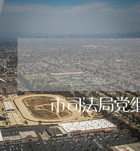 市司法局党组成员 市司法局党组成员