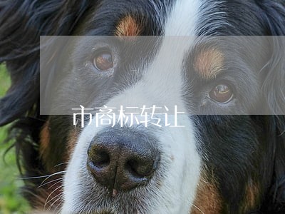 市商标转让 市商标转让