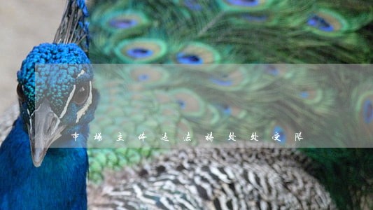 市场主体违法将处处受限 市场主体违法将处处受限
