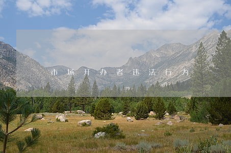 市场开办者违法行为 市场开办者违法行为