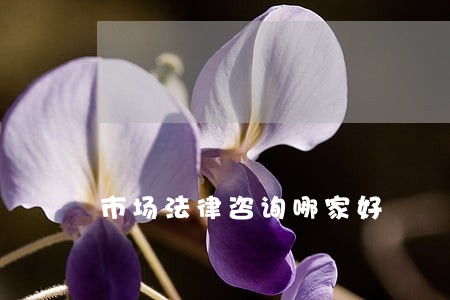 市场法律咨询哪家好 市场法律咨询哪家好