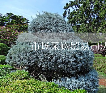 市场采购贸易司法保障