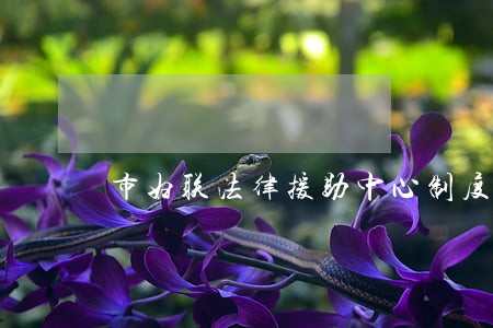 市妇联法律援助中心制度 市妇联法律援助中心制度