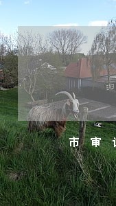 市审计局工作月薪多少 市审计局工作月薪多少